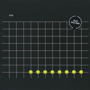 Blir (SND) - Raster Edits [CD]