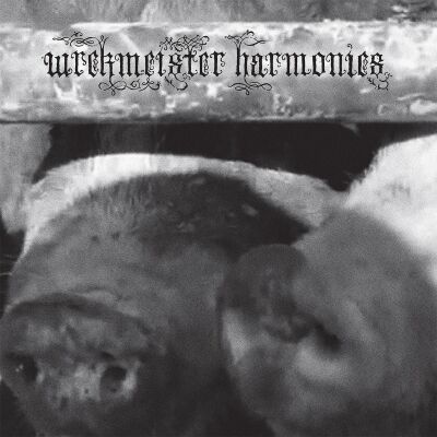 Wrekmeister Harmonies - Flowers In The Spring [vinyl]