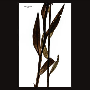 Maja S. K. Ratkje - Sult [CD]