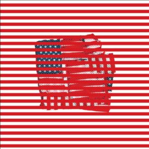 Tortoise - Standards [vinyl clear with white & red, limited]