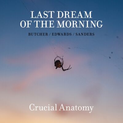 Last Dream Of The Morning - Crucial Anatomy