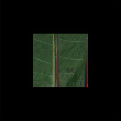 Polmuz - Drzewiej [vinyl + downloadcode (un)limited]