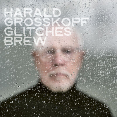 Harald Grosskopf - Glitches Brew [vinyl]