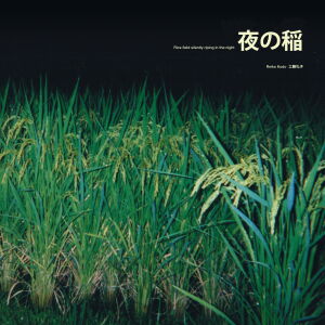 Reiko Kudo - Rice Field Silently Riping In The Night [vinyl]
