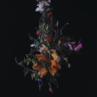 BIG | BRAVE - Nature Morte [vinyl lavender color]