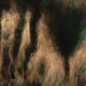 William Basinski - Lamentations [vinyl 2LP]