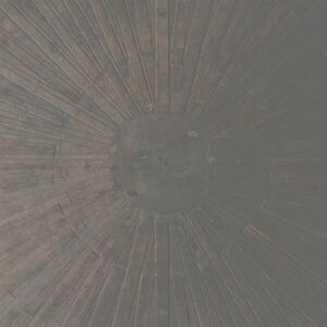William Basinski & Lawrence English - Selva Oscura [CD]
