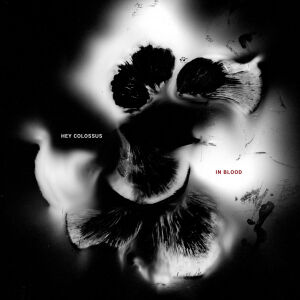 Hey Colossus - In Blood [vinyl red]