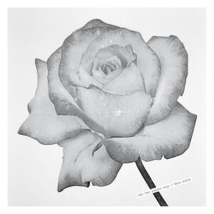 SG (Andrew Pekler) - For Lovers Only / Rain Suite [vinyl]