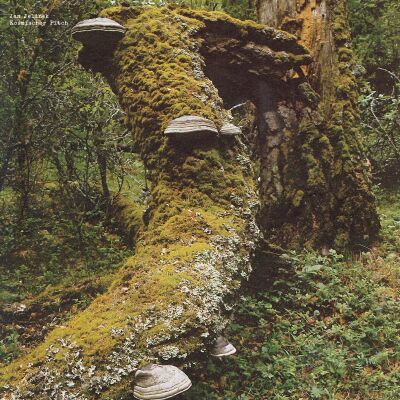 Jan Jelinek - Kosmischer Pitch [vinyl]