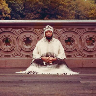 Laraaji - Segue To Infinity [vinyl 4LP box]