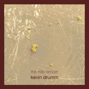 Kevin Drumm - The Mild Temper [6CD-box]