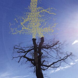 Laetitia Sadier - Rooting For Love [CD]