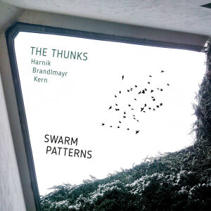 The Thunks (Harnik/Brandlmayr/Kern) - Swarm Patterns [CD]