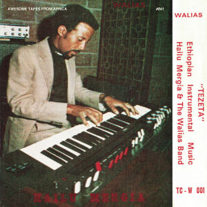 Hailu Mergia & The Walias - Tezeta [vinyl]
