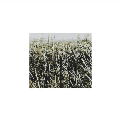 Próchno - Próchno [vinyl + downlaodcode (un)limited]