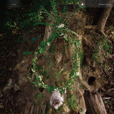 Pharmakon - Maggot Mass [vinyl transparent green]