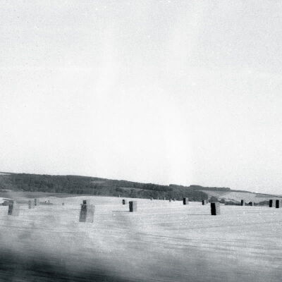 Drøne - Feral [CD]