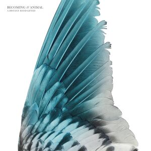 Becoming Animal - A Distant Hand Lifted [vinyl + downloadcode]
