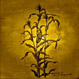 Wovenhand - The Laughing Stalk [CD]