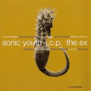 Sonic Youth + ICP + The Ex - In The Fishtank 9 [CD]