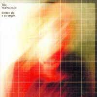 Walkabouts, The - Ended Up A Stranger