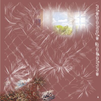 Niepokoje Gościnne - s/t [vinyl limited clear 180g + CD]