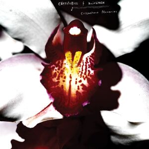 Chrystabell & David Lynch - Cellophane Memories [vinyl clear]