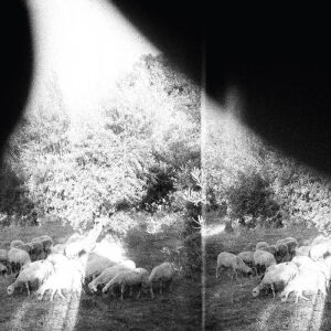 Godspeed You! Black Emperor - Asunder, Sweet and Other Distress [vinyl 180g+downloadcode]