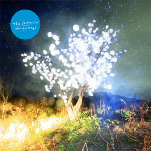Notwist, The - Vertigo Days [CD]