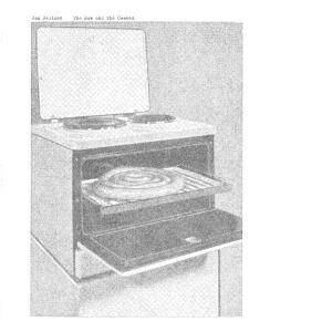 Jan Jelinek - The Raw and Cooked [vinyl]