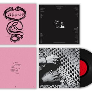 Radwan Ghazi Moumneh & Frédéric D. Oberland - Eternal Life No End [vinyl]
