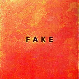 Die Nerven - Fake [CD]