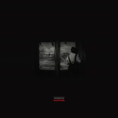 Biosphere - Petrified Forest [vinyl]