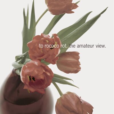 To Rococo Rot - Amateur View (Expanded Edition 2025) [vinyl 2LP]