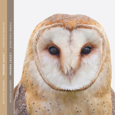 Sylvain Chauveau / Pierre-Yves Macé - L'Effet Rebond (Version Silicium / Version Iridium) [2CD]