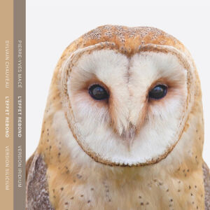 Sylvain Chauveau / Pierre-Yves Macé - L'Effet Rebond (Version Silicium / Version Iridium) [2CD]