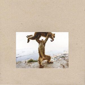 Shellac - Dude Incredible [CD]