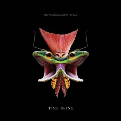 Tony Buck & Massimo Pupillo - Time Being [vinyl LP + downloadcode]