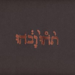 Godspeed You! Black Emperor - Slow Riot For New Zero Kanada [vinyl]