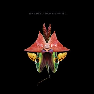 Tony Buck & Massimo Pupillo - Unseen [CD]