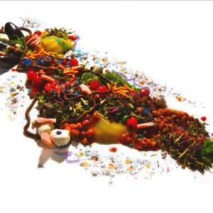 Bee Mask - Elegy For Beach Friday [CD]