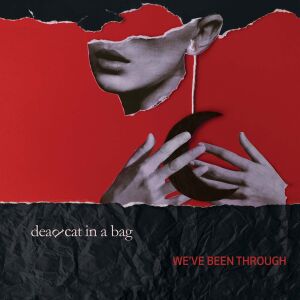Dead Cat In A Bag - We've Been Through [vinyl]