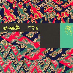 Natural Information Society with Evan Parker - Descension (Out of Our Constrictions) [vinyl 2LP]