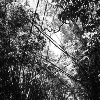 Andrew Pekler - Tristes tropiques [vinyl + downloadcode]