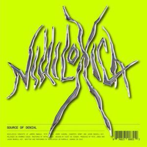 Nihiloxica - Source of Denial [CD]