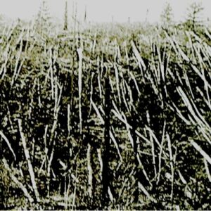 Próchno - Próchno [CD]