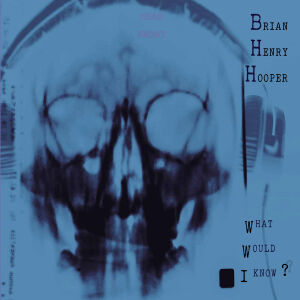 Brian Henry Hooper - What Would I Know? [vinyl]