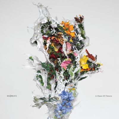 BIG | BRAVE - A Chaos Of Flowers [CD]