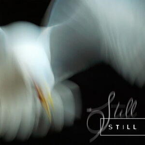 Aria Rostami & Daniel Blomquist - Still [CD]